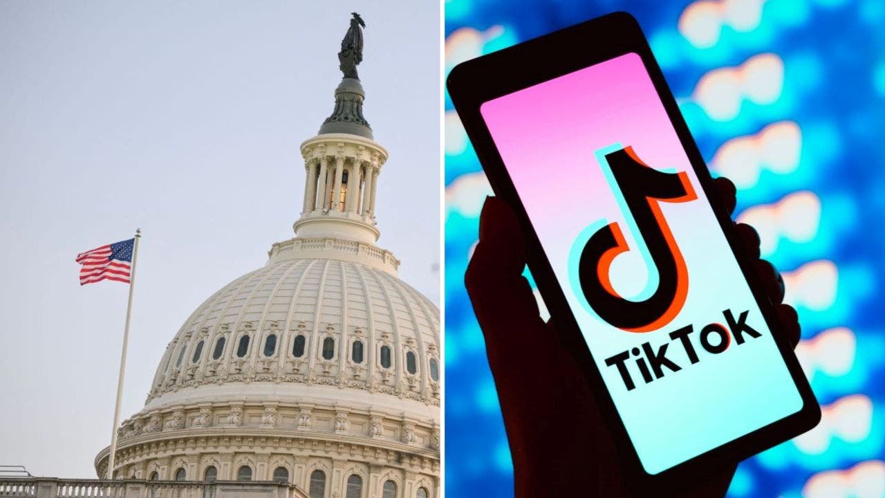 TikTok CEO voices disappointment in House passage of ban