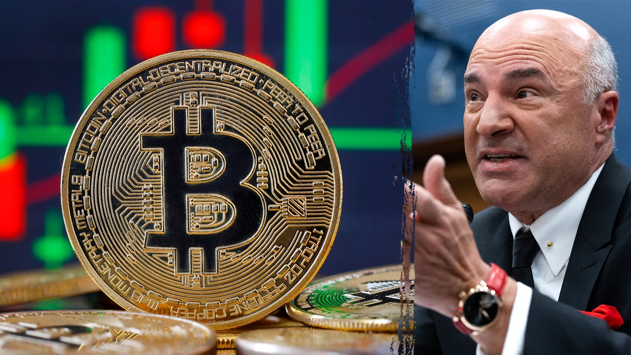 O’Leary details why the US needs a crypto czar: ‘We’ve got to stop these shenanigans’